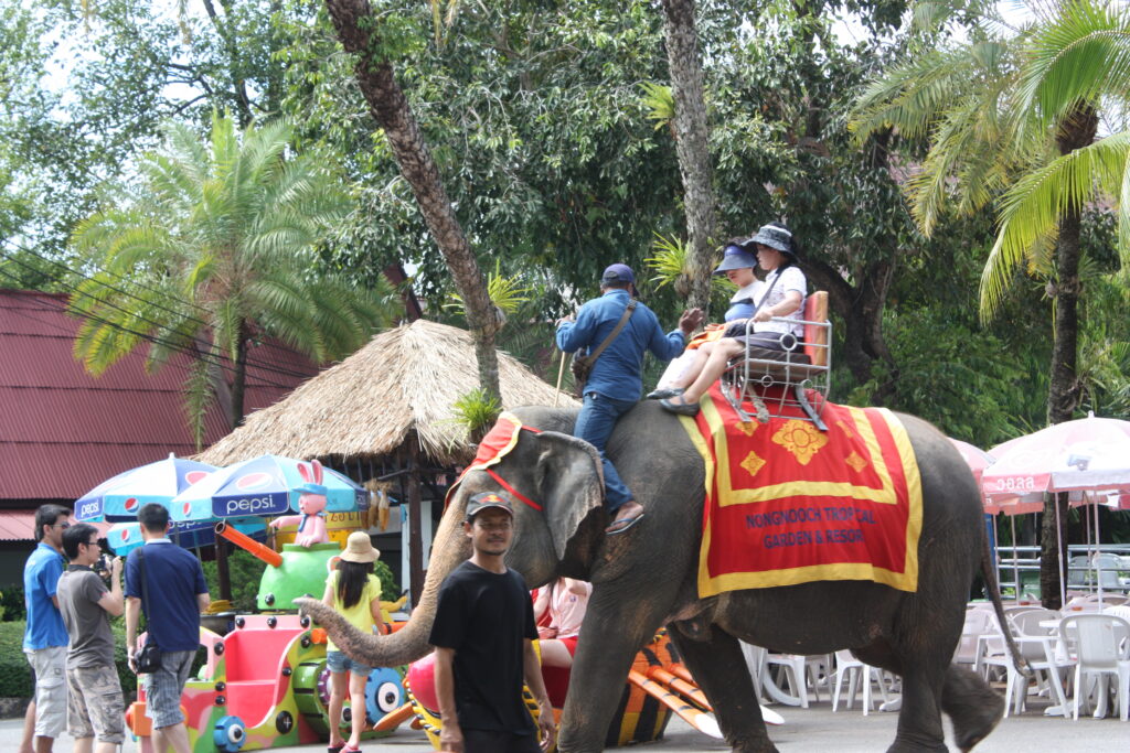 พัทยา 2 วัน 1 คืน, Tour 5G - บริษัท โซดา เมนเนจเมนท์ จำกัด,