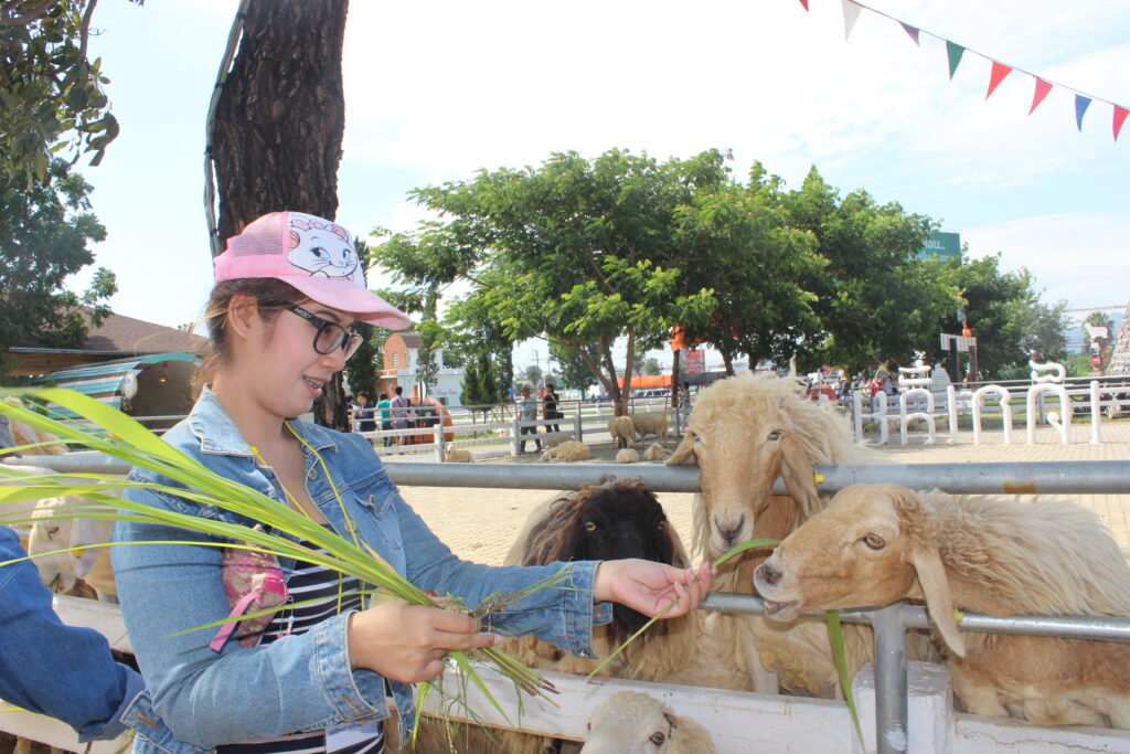 หัวหิน 2 วัน 1 คืน, Tour 5G - บริษัท โซดา เมนเนจเมนท์ จำกัด,