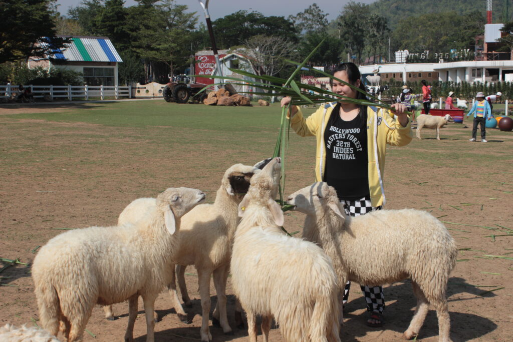 ทัวร์สวนผึ้ง 3 วัน 2 คืน บจก.พัทยาฟู้ดส์ รุ่นที่ 1, Tour 5G - บริษัท โซดา เมนเนจเมนท์ จำกัด,