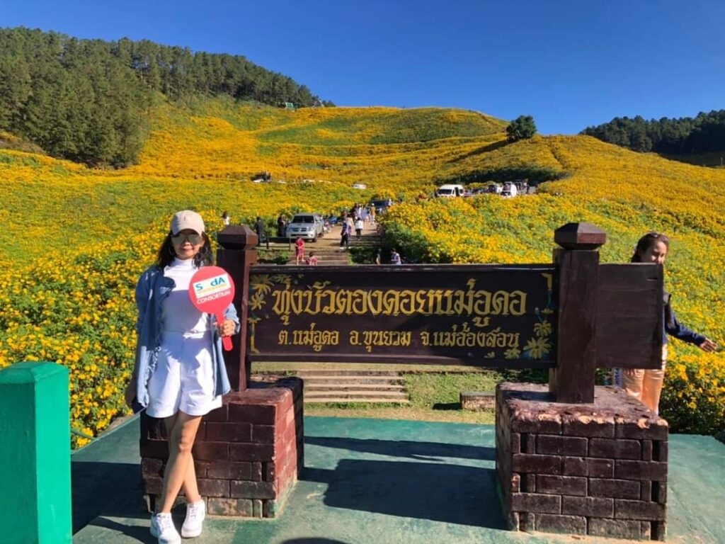 ทุ่งบัวตอง ดอยแม่อูคอ จ.แม่ฮ่องสอน, Tour 5G - บริษัท โซดา เมนเนจเมนท์ จำกัด,