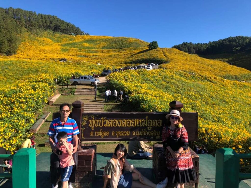 ทุ่งบัวตอง ดอยแม่อูคอ จ.แม่ฮ่องสอน, Tour 5G - บริษัท โซดา เมนเนจเมนท์ จำกัด,