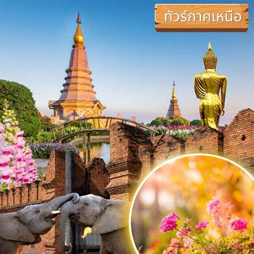 รับจัดทัวร์ในประเทศ, Tour 5G - บริษัท โซดา เมนเนจเมนท์ จำกัด,