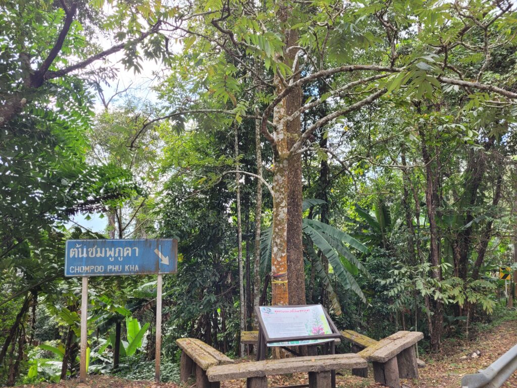 น่าน 3 วัน 2 คืน กสท.โทรคมนาคม, Tour 5G - บริษัท โซดา เมนเนจเมนท์ จำกัด,