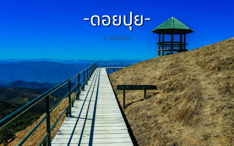 ดอยปุย