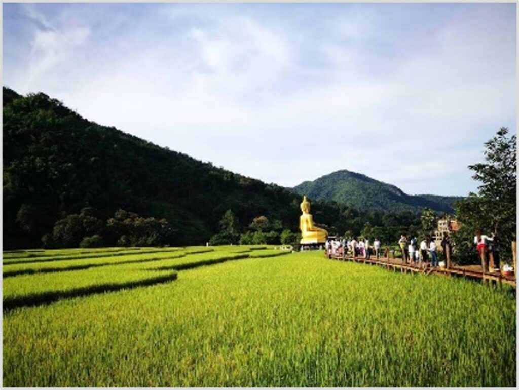 บ้านนาคูหา