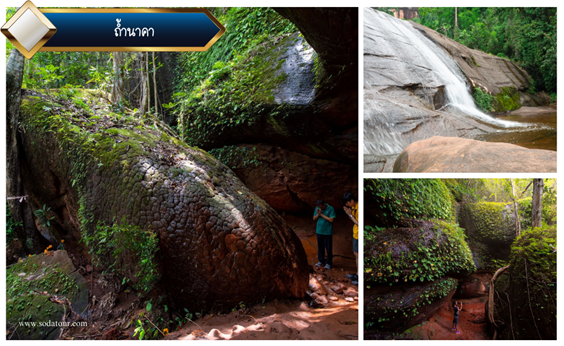 โปรแกรมทัวร์อุดรฯ - นครพนม 3วัน 2คืน ถ้ำนาคา, Tour 5G - บริษัท โซดา เมนเนจเมนท์ จำกัด,